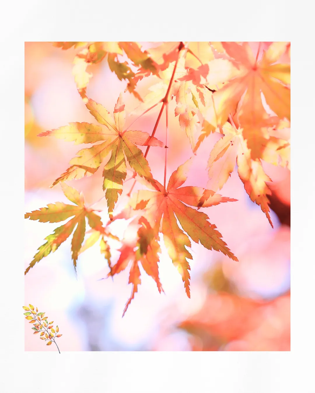 🍂10月スタート！